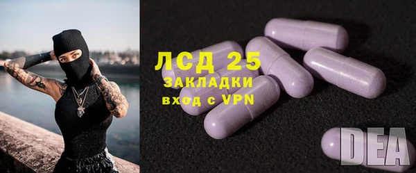 стаф Алексин