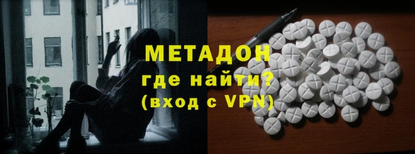 стаф Алзамай