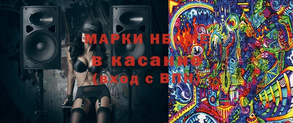 стаф Алзамай