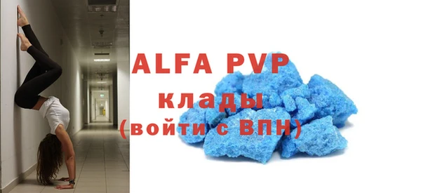 стаф Алзамай