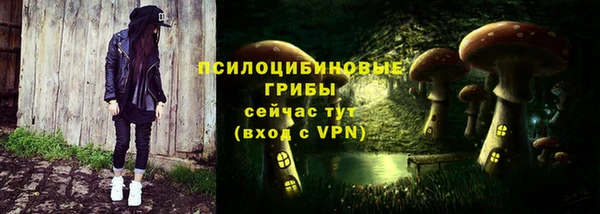 стаф Алексин