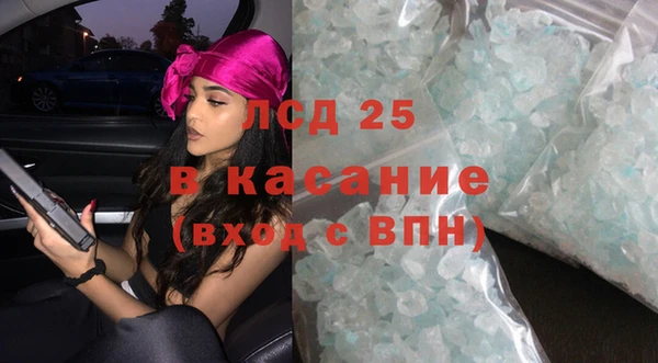стаф Алзамай