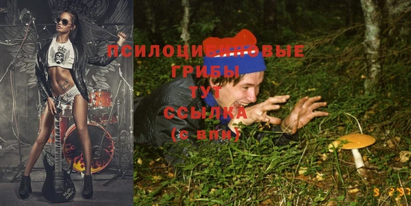 каннабис Алексеевка