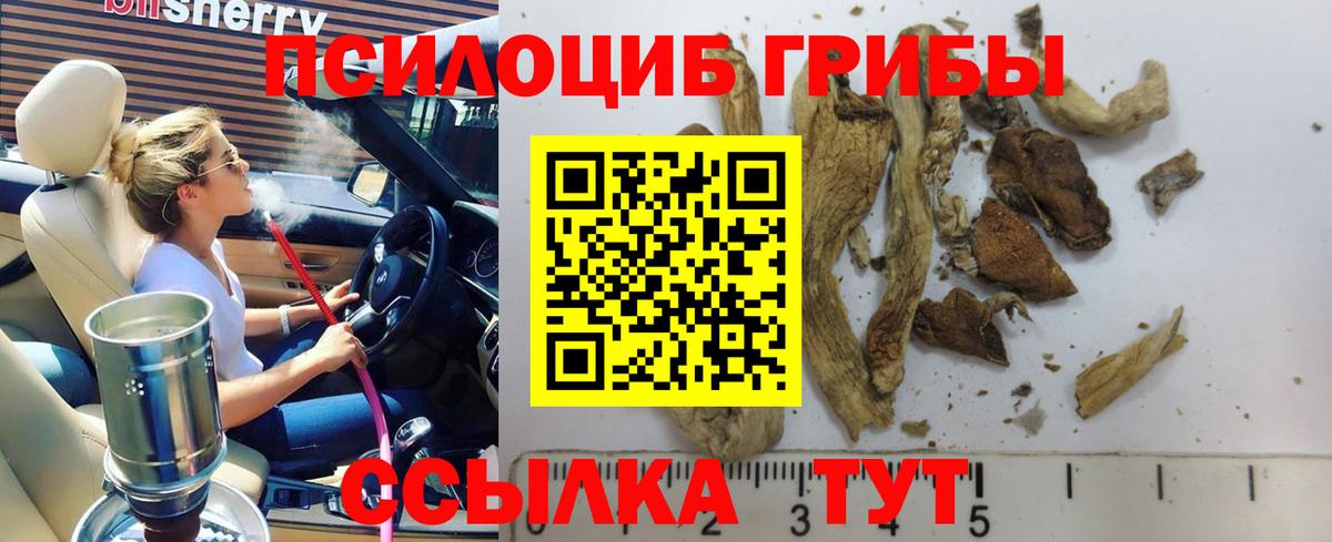 Тавда  Галлюциногенные грибы мухоморы  Вход с VPN 